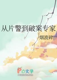 从片警到破案专家txt番外