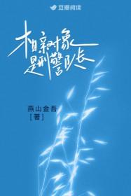 相亲对象是刑警队长讲的什么