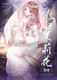 纯白的茉莉花歌