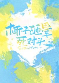 椰子砸晕死对头txt百度