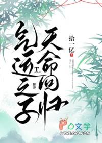 气运之子天命回归拾一亿百度