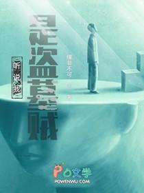 我是盗墓界的一股清流