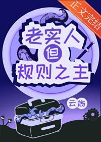 老实人但规则之主