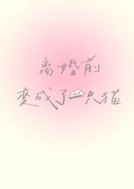 离婚前变成了一只猫段叶嘉