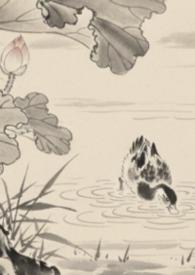 全京城都在等我扑街