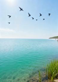 归去来兮视频完整版