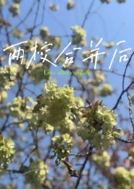 两校合并后TXT