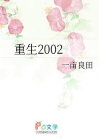 重生2002by一亩良田