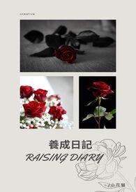 养成日记 未婚妻