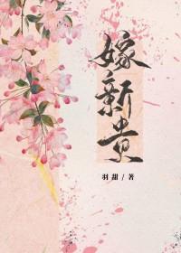 嫁新贵意已TXT百度
