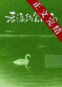 老派约会指南讲的什么