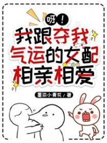 呀!我跟夺我气运的女配相亲相爱晋江