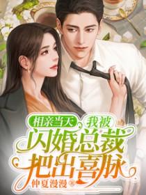 是总裁大人全文阅读