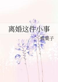 离婚这件小事by颂红川