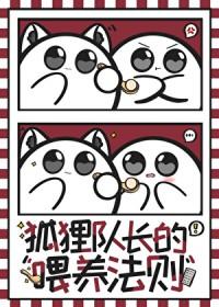 排球少年的队伍