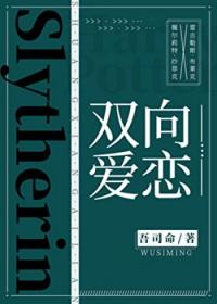 双向恋爱txt