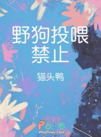 喂野狗狗它懂得感恩吗