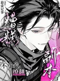 不小心撩错了反派