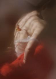 狐狸 知乎