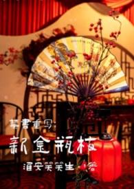 电视剧新金瓶梅1