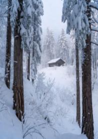 林场到南京南站地铁要多久