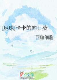卡卡的足球