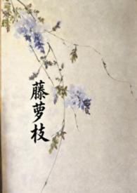 藤萝枝Jue