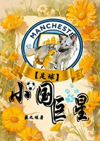 足球小巨人是哪个明星