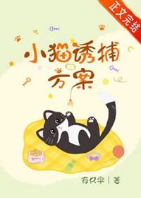 如何诱捕小猫