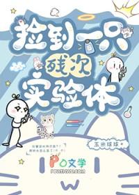 捡到一只残疾狗