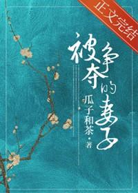 被争夺的妻子txt