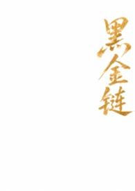 黑金链条包
