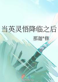 我当英灵的那些年
