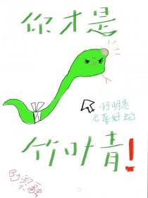 小蛇当家主