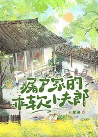 屠户家的小夫郎宝书网