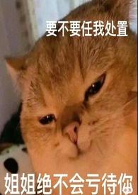 论女a与哨向的兼容性第45天