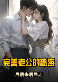 完美老公的秘密阅读