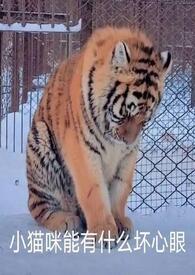 野猪林中遇虎