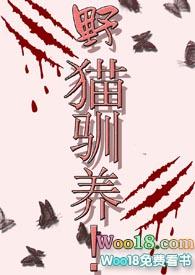 野猫驯养!魏承泽
