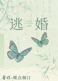 免费阅读逃婚之后