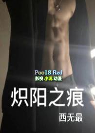 炽阳之痕txt书包网