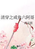 清穿咸鱼六皇子晋江