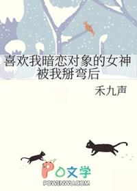 喜欢我暗恋对象的女神被我掰弯后 作者禾九声