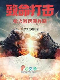 致命打击：枪火游侠佣兵路